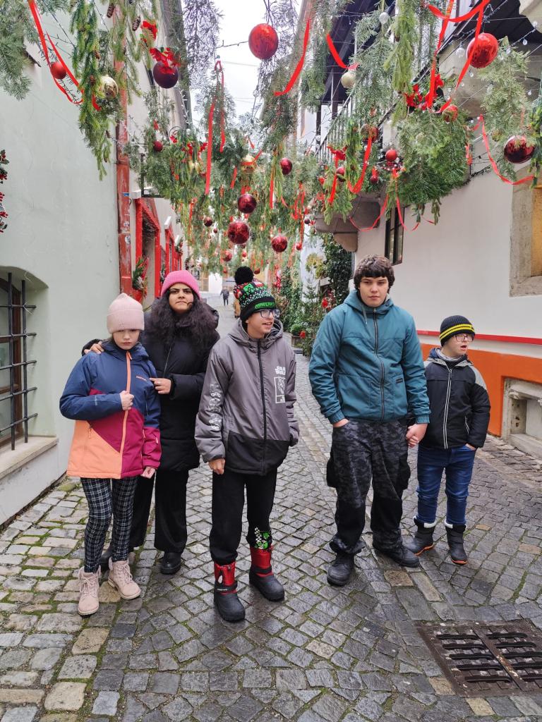 Vanocnicasdruzina (2025/2026)